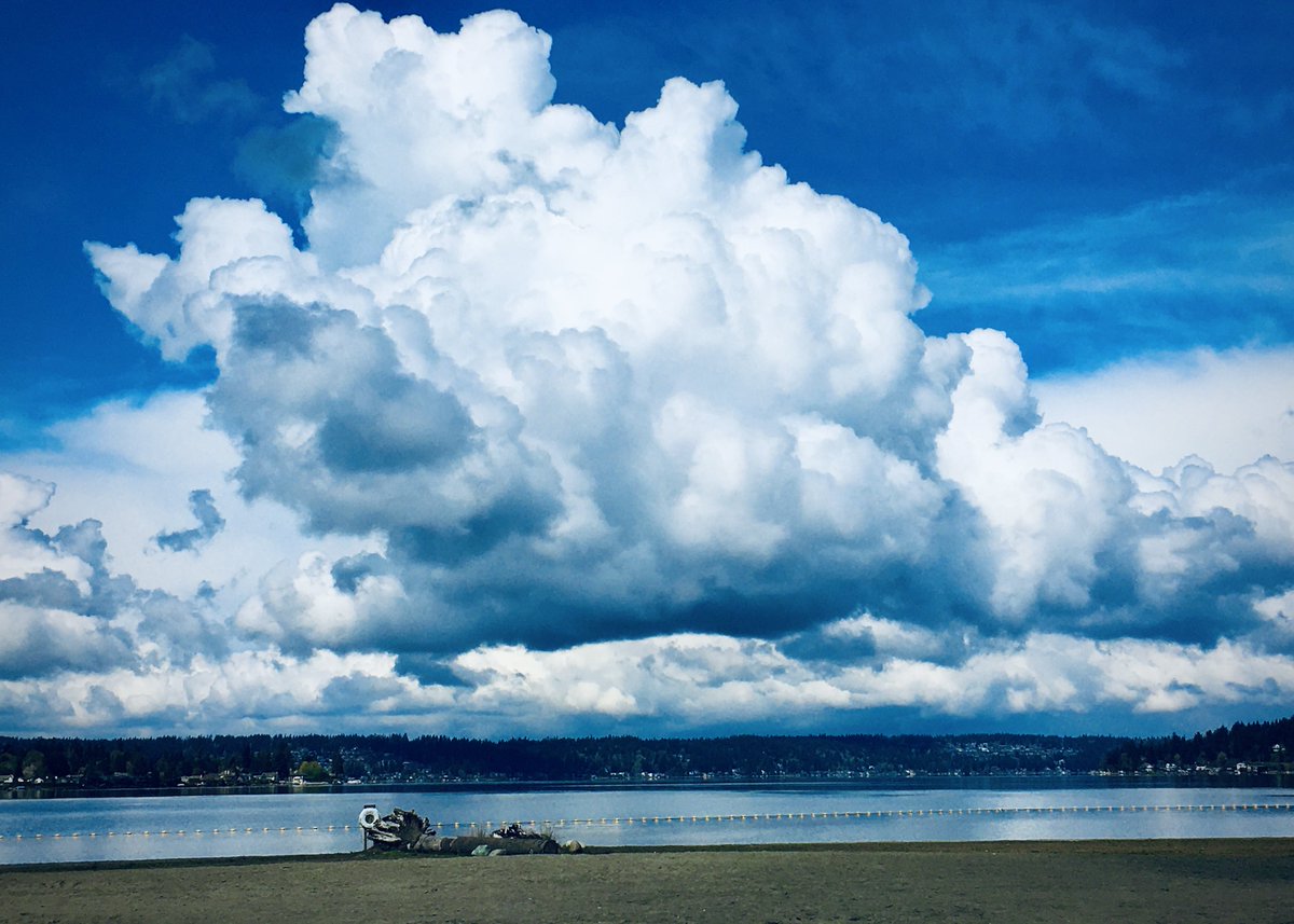 qbroots's tweet image. old photos