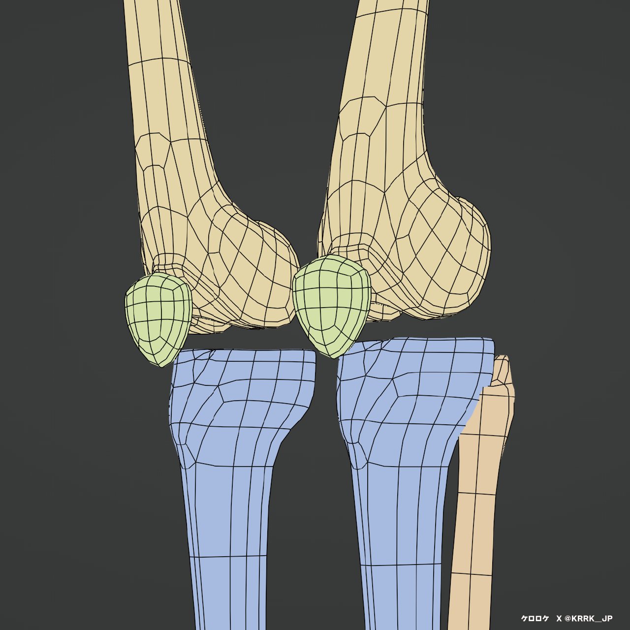ケロロケ CG Anatomy on X: 