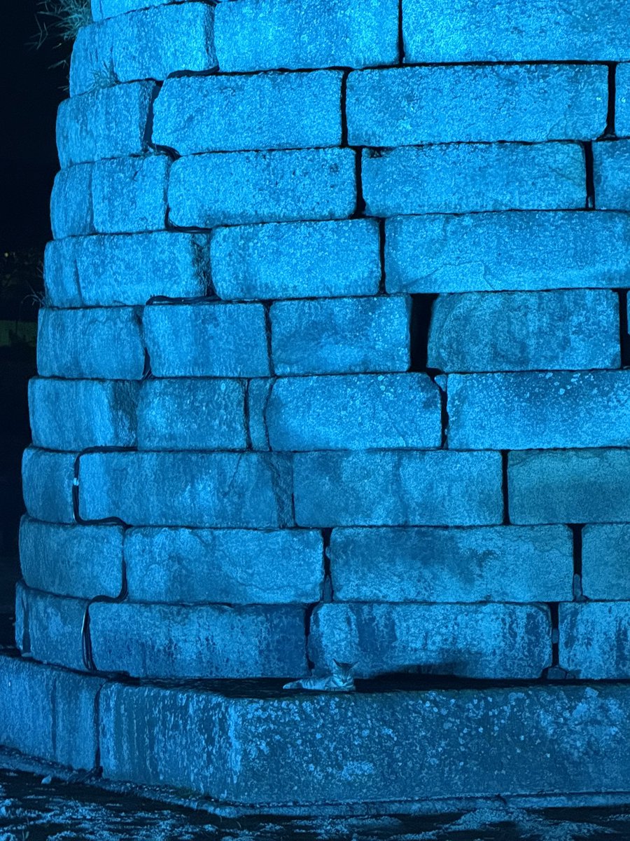 맥꼬리 tweet media