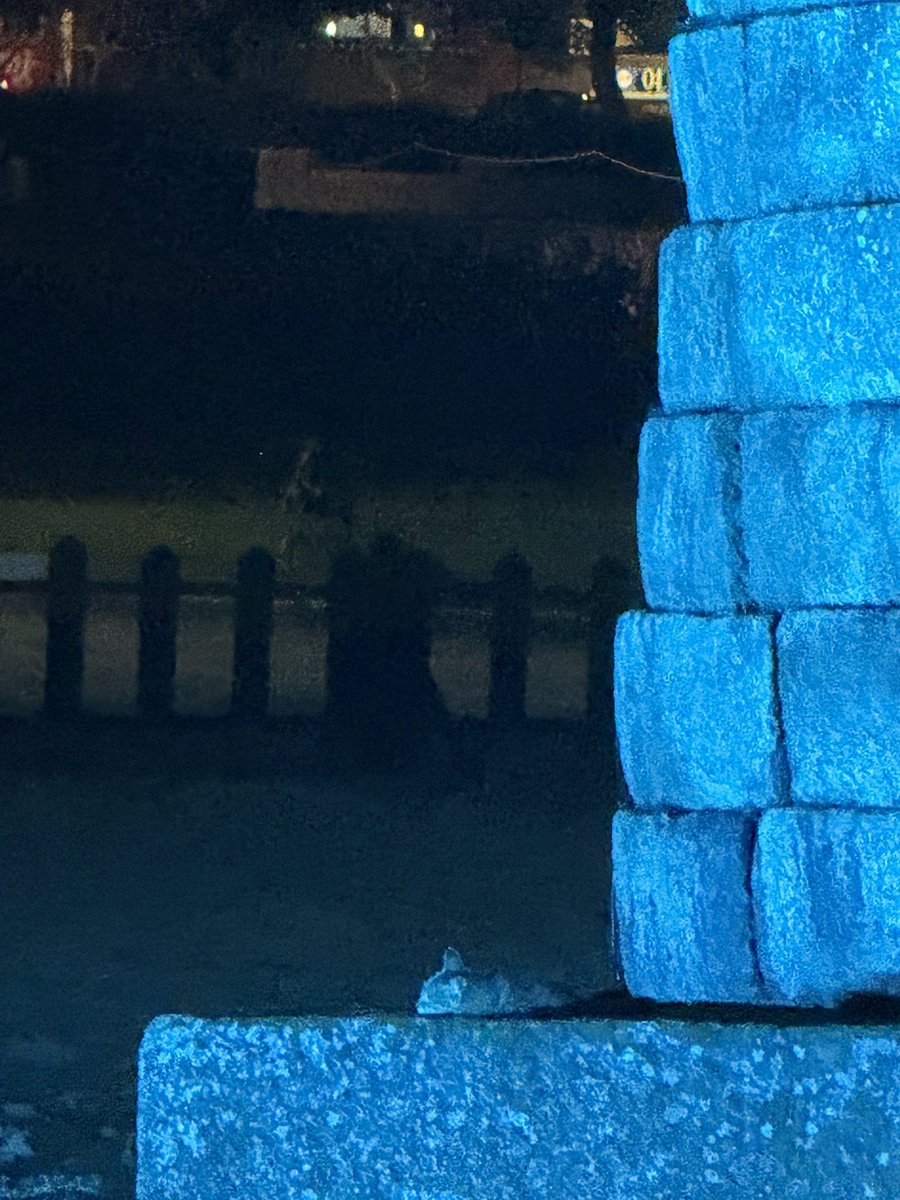 첨성대를 보았슨
다들 사진 찍으면서 “어? 저기 고양이 아니야?” 라고 했슨
알고보니 첨성대는 거대한 캣타워였슨
그리고 첨성대 주변은 모래로 둘러쌓여있는 거대한 고양이 화장실이었슨