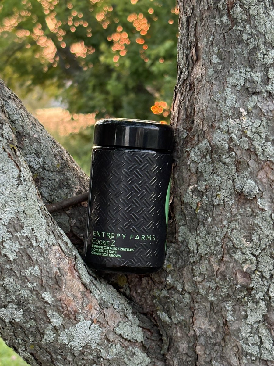Maple Reserve (@maplereserv) on Twitter photo That Cookie-Z (Thin Mint Cookies x Zkittlez) from <a href="/EntropyFarms/">Entropy. Farms</a> always producing some of the cleanest smoke around That Cookie-Z (Thin Mint Cookies x Zkittlez) from <a href="/EntropyFarms/">Entropy. Farms</a> always producing some of the cleanest smoke around