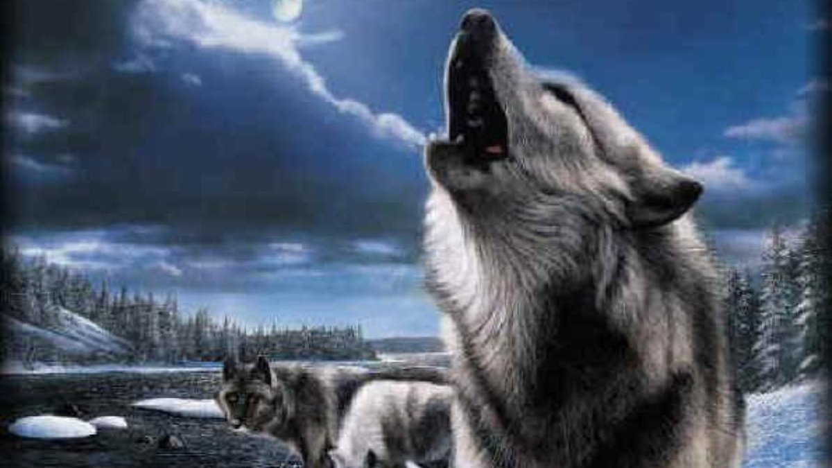 Ruhsuzlar’ın Yokuşu: Ötüken’den Yokuş Aşağı by D. Şener Yıldırım - aykiri.org/?p=11161&wpwau…