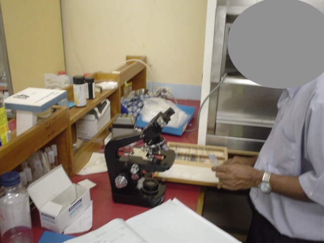 しらかば診療所/Shirakaba Clinic tweet media