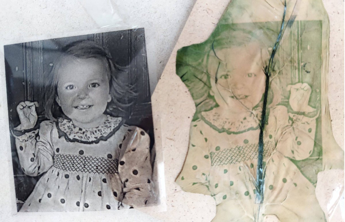 BlogSimbiosis's tweet image. Clorotipia: fotografías en hojas de espinaca proyectosimbiosis.colectivocrecet.com/recursos/cloro…