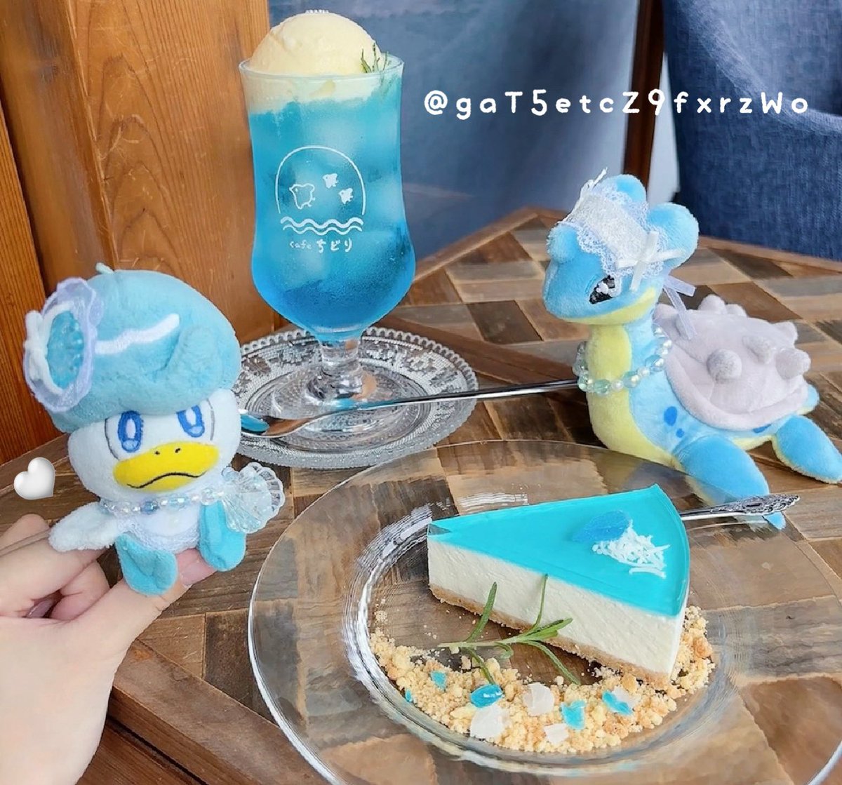 みずタイプたちの憩いのカフェ🩵🤍