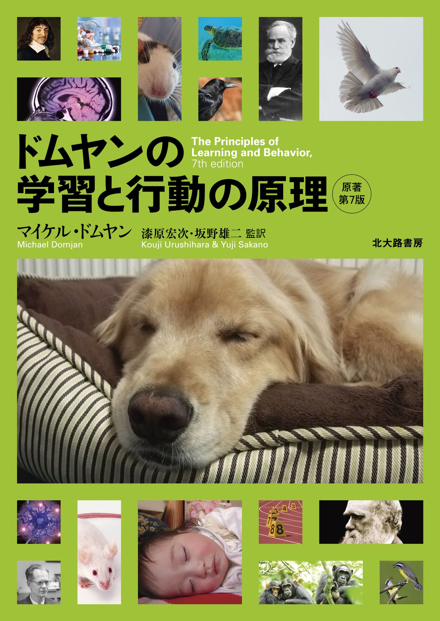 【中古】 心理物理学 方法・理論・応用 上巻/北大路書房/ジョージ・Ａ．ゲシャイダー 心理物理学 上巻 / ゲシャイダー，G．A．【著