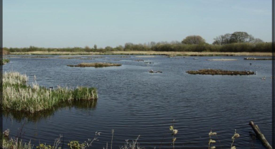 infocus_retailers tweet media