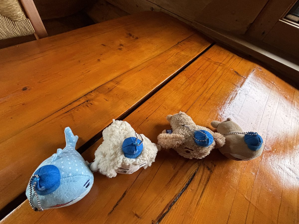 フフフ‥
並べてお写真撮って
バックに全部ぶら下げて
ひとり含み笑いを浮かべてしまう

新しいファイターズグッツが仲間入り

青いクジラから
郡司
水谷
裕涼
清宮
のマスコットキーホルダー
かわいい✨✨
推し活って楽しいね