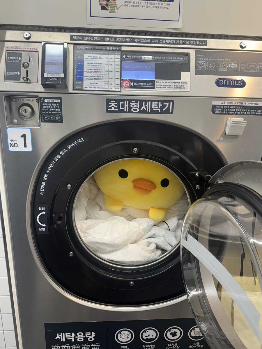 greenez's tweet photo. 병아리야.. https://t.co/MD9I4aYEEj