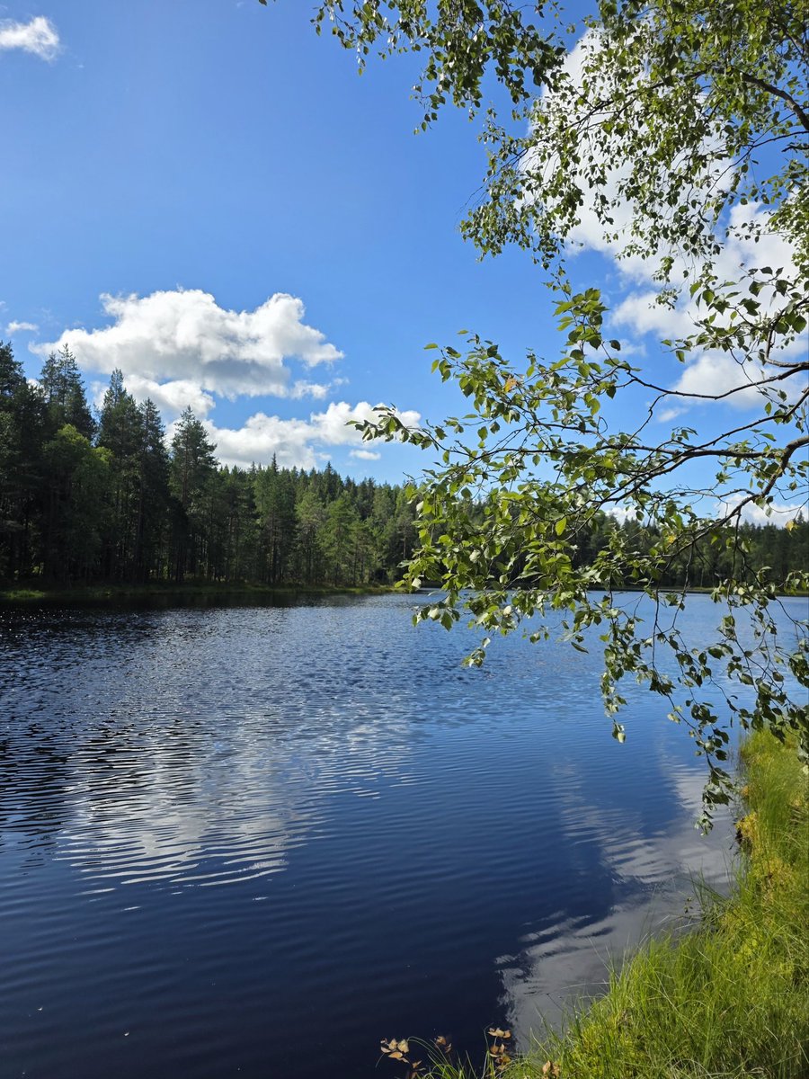 Hyvää Suomen luonnon päivää! 🤍
