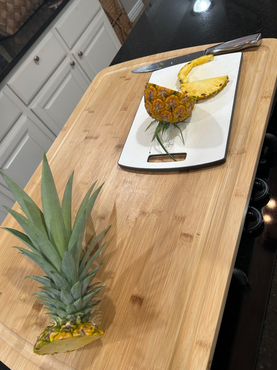 My wife grew a pineapple in the back yard.  Turned out pretty tasty!

And she says you can plant the top and do it again (takes a few years).  Will have to survive the “winters”