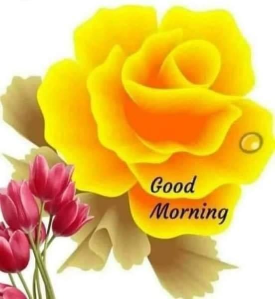 Rosalee Waight tweet media