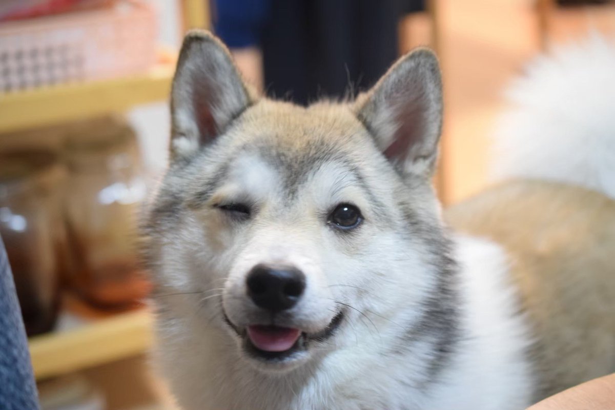 Chu！可愛くてごめん