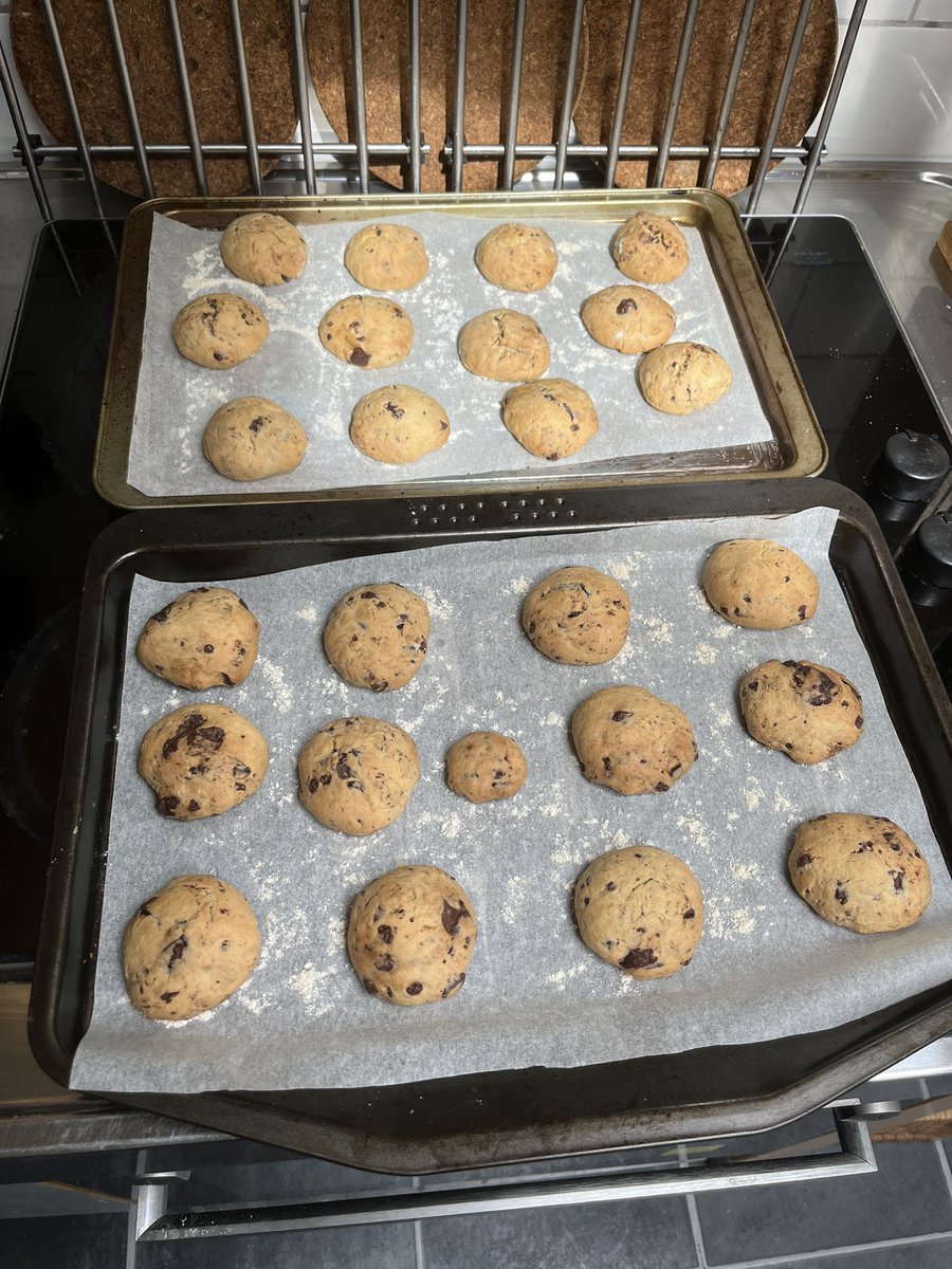RealHumanNotBug's tweet image. Everyone come over i made cookies!