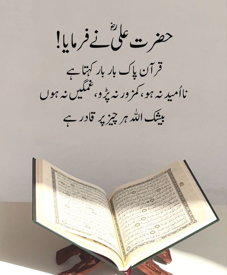 __SZ22's tweet image. بیشک میرا اللہ تو ہر چیز پر قادر ہے 🤍