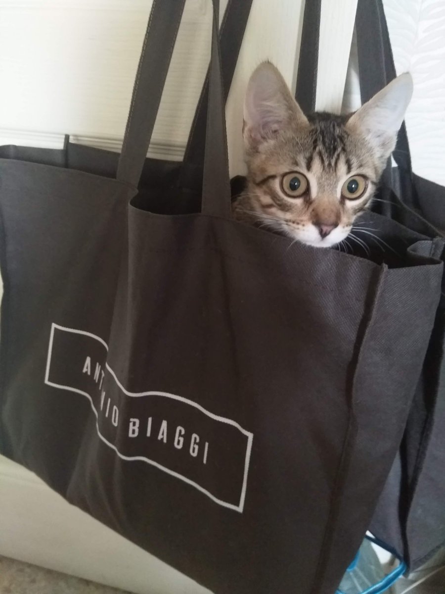 А хто це у нас тут такий юний і скромний? 😹