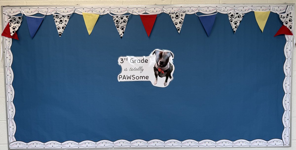 The room is ready!  The countdown is on! Nico and I can’t wait to welcome students with open paws - our Third Grade adventure begins Tuesday! #beartavernpride ✏️📚🐾
