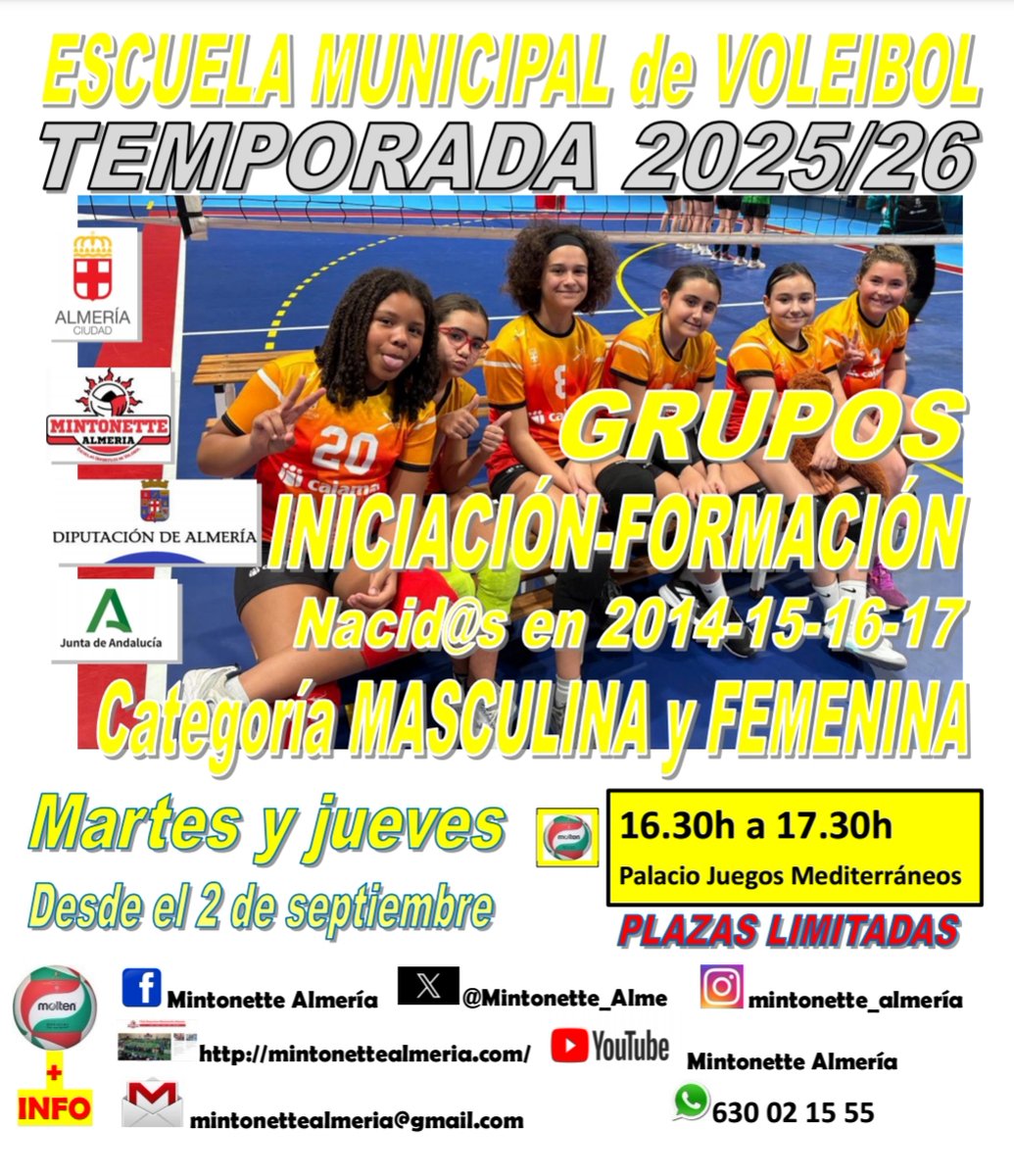 GRUPOS DE FORMACIÓN
Chicos y chicas que empiezan a jugar en benjamines y alevines.
PLAZAS LIMITADAS
<a href="/PMDAlmeria/">PMD Almería</a> 
<a href="/dipalme_almeria/">Diputación Almería</a>