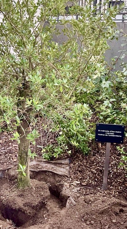 BBrocard's tweet photo. 🌳À #Caluire avec @BastienJoint et de nombreux élus &amp; citoyens, nous témoignons que la République ne plie pas.
Bien + que l’acte symbolique de planter un olivier en mémoire d’#IlanHalimi la République se tient debout, unie, ferme et fraternelle face à l’antisémitisme et la haine. https://t.co/6LcD8Qcx9Z
