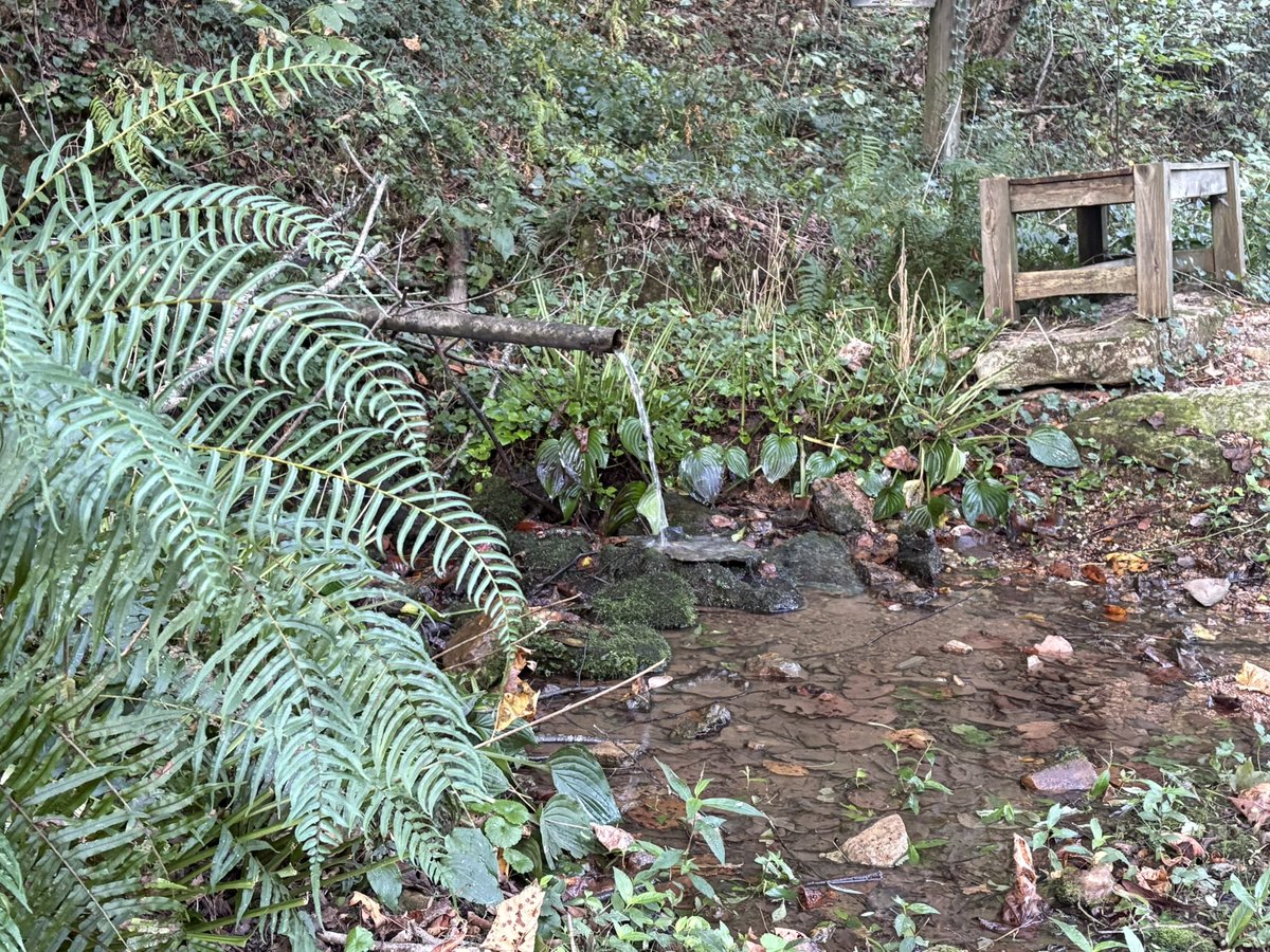 Beautiful walk this morning.  It’s football time in Tennessee!  #GBO #MuleTown