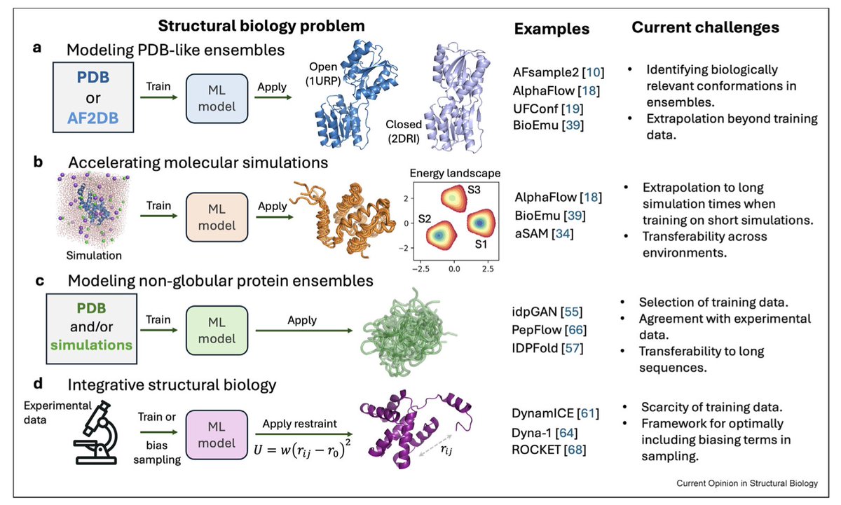 Generation of protein dynamics by machine learning  

1. Machine learning, particularly generative models, is revolutionizing the prediction of protein dynamics by enabling the generation of structural ensembles beyond traditional simulations. This review highlights emerging