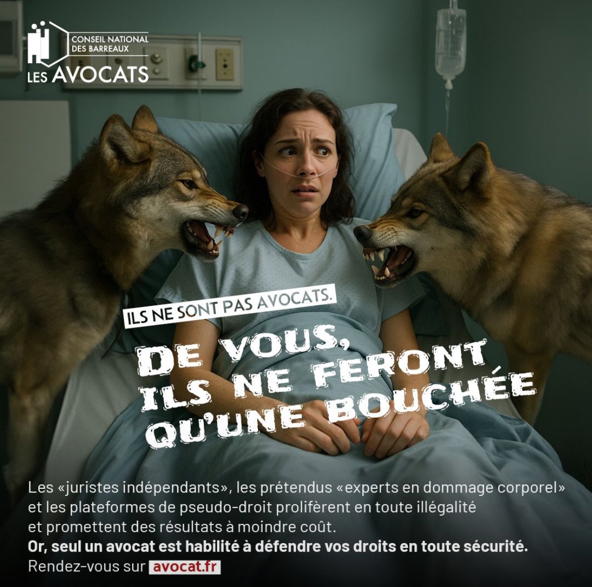 📢 Attention aux faux professionnels du droit ! De prétendus « juristes », « spécialistes indépendants »… Mais en réalité : des pratiques illégales et lourdes conséquences pour le justiciable. Seuls les avocats peuvent défendre vos intérêts en toute sécurité.