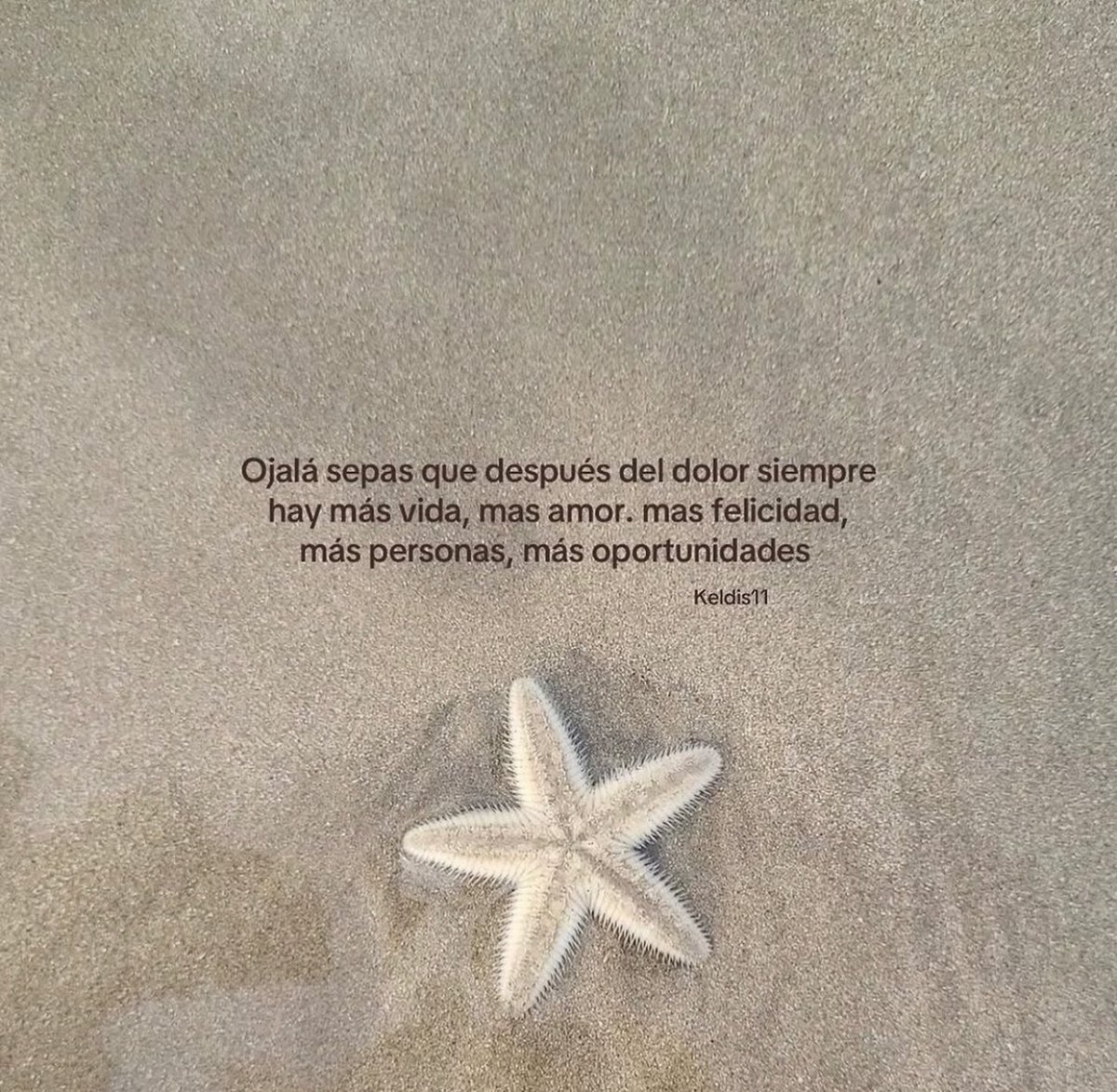 Cultura Literal (@culturaliteral1) on Twitter photo 