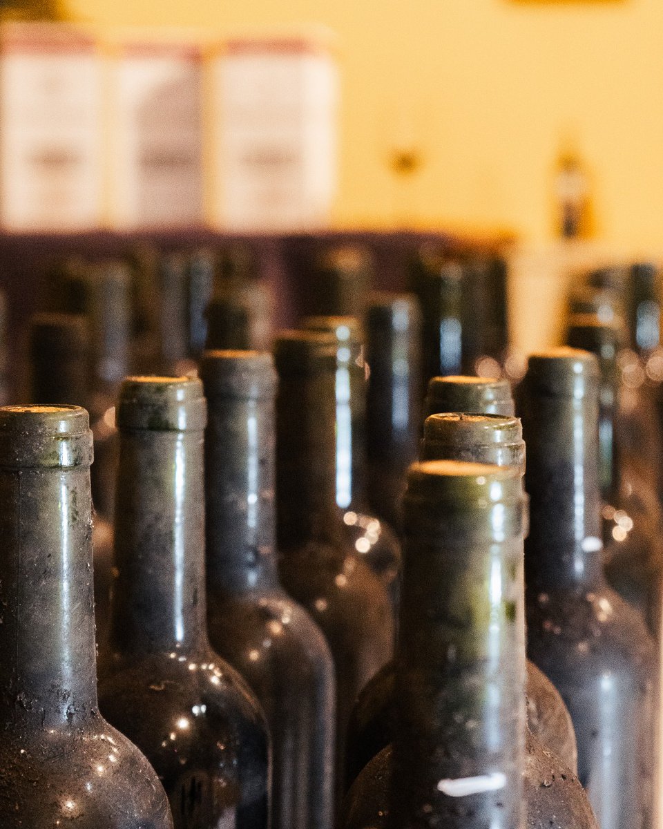 Pequeños vistazos que son una ventana a nuestra historia, una ventana a Bodega Pirineos. 🍷

#bodegapirineos #barbastro #huesca #zaragoza #vinotinto #vinoblanco #winelovers #winelover