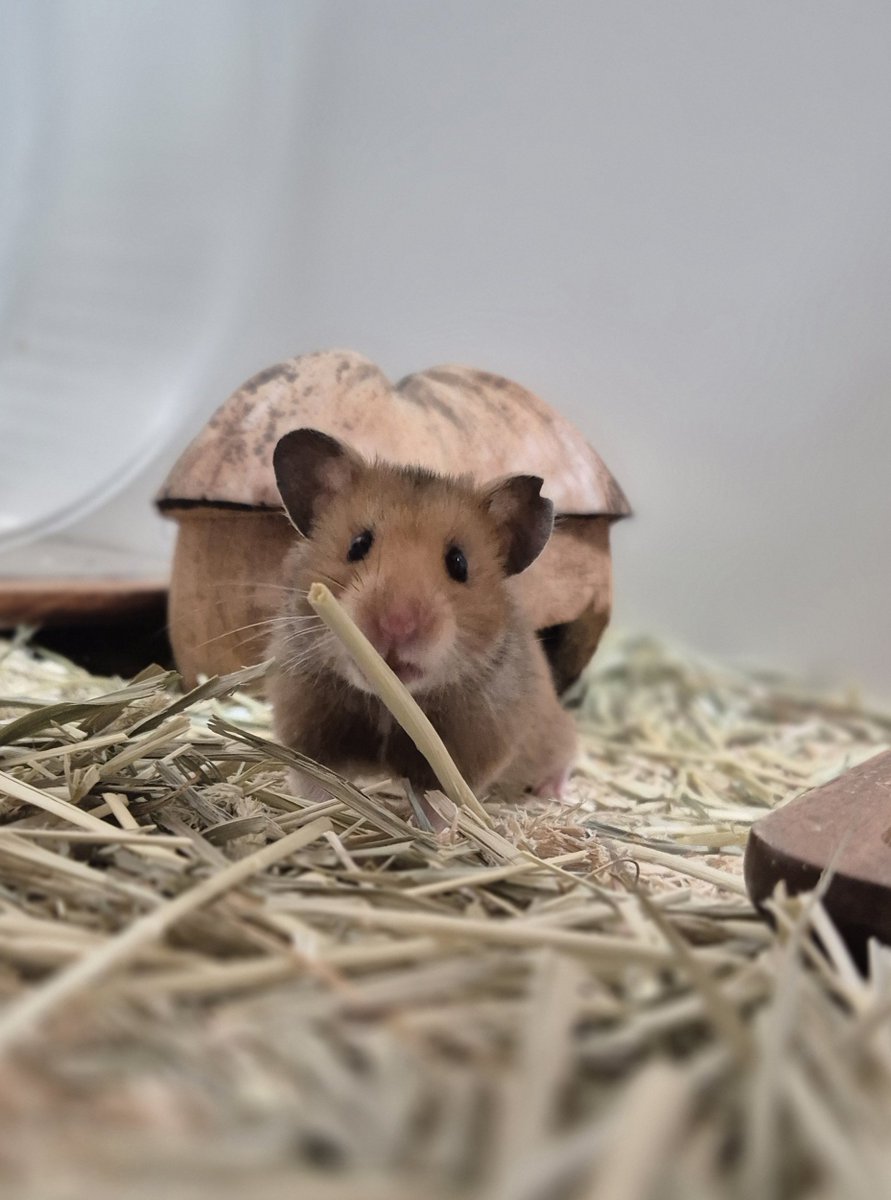 용용이네 🍑 (@ucamemeee) on Twitter photo 