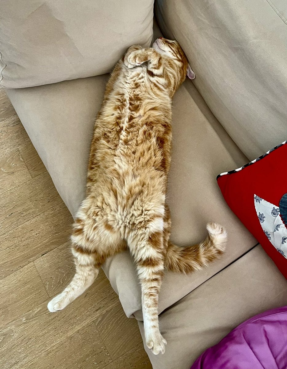 Allah herkese her daim böyle uyku rahatlığı versin. Amin:)