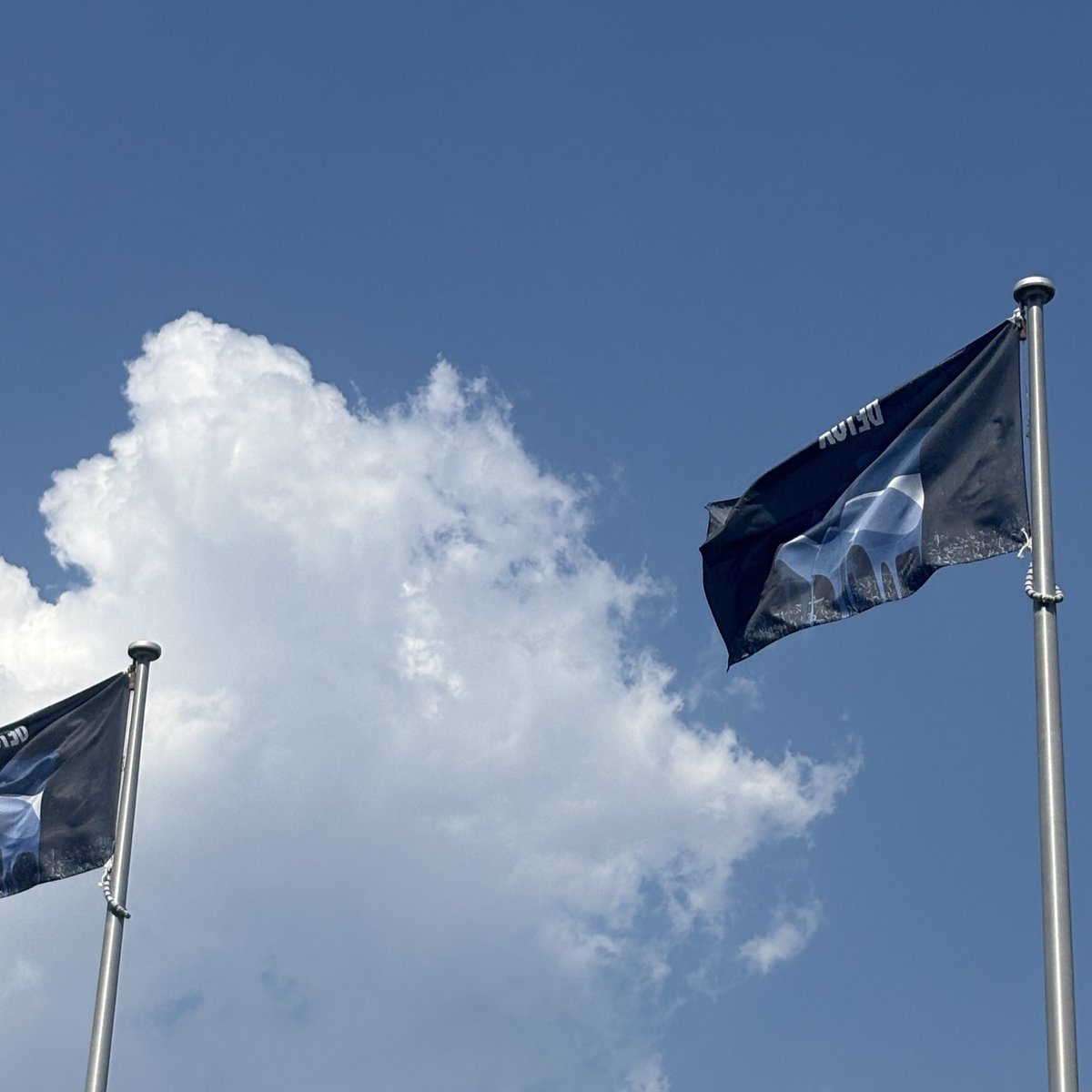 楽しかったと言っておきながら明日も参戦。ワンオク私は明日がラスト！！
最後まで駆け抜けるし楽しみます！！