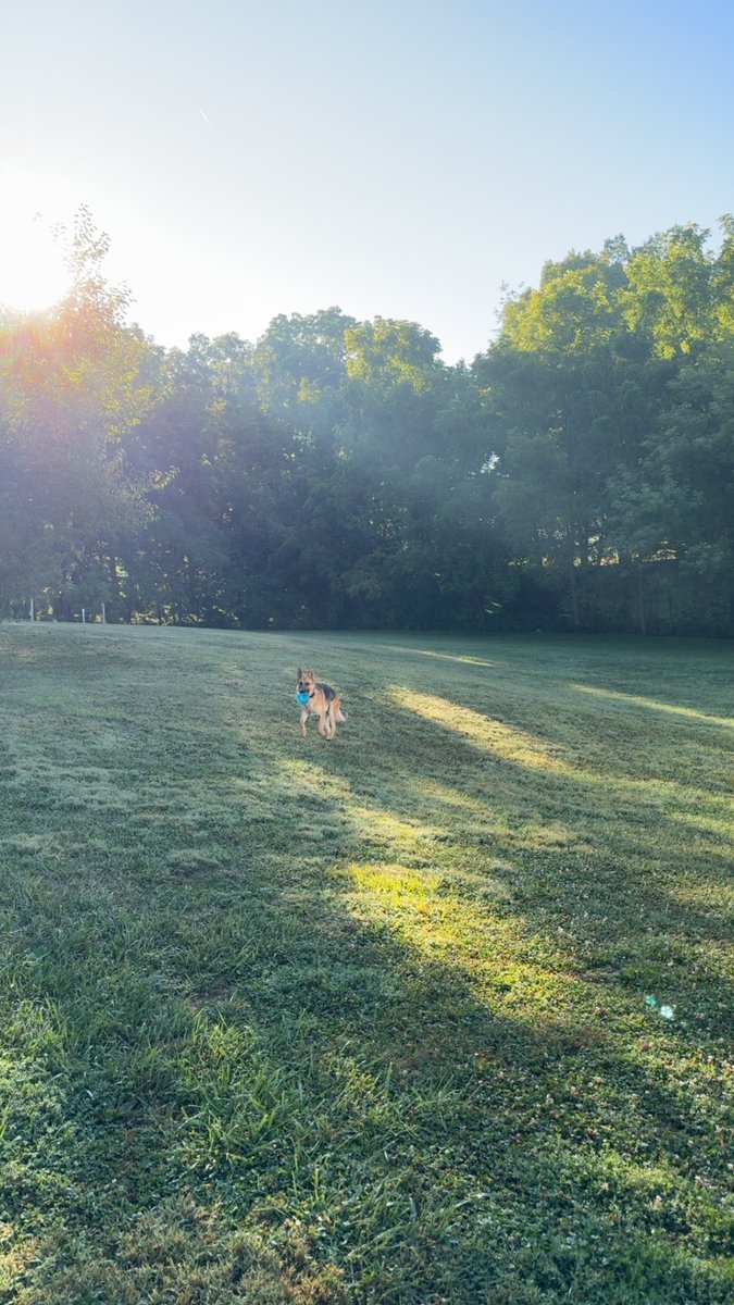 Kyle Rutledge, MS, MHA, AT, ATC tweet media