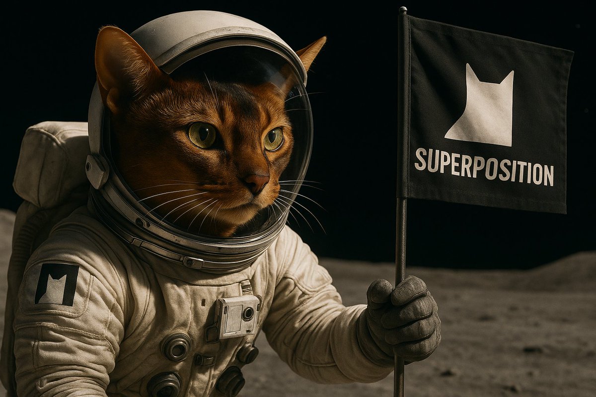 This cat is special. He was at Coinfest Asia 2025. Now he's conquering outer space, together with <a href="/Superpositionso/">Superposition - (🖤,🤍)</a> , of course. Oh, I wish I could do that.
Gmeow
