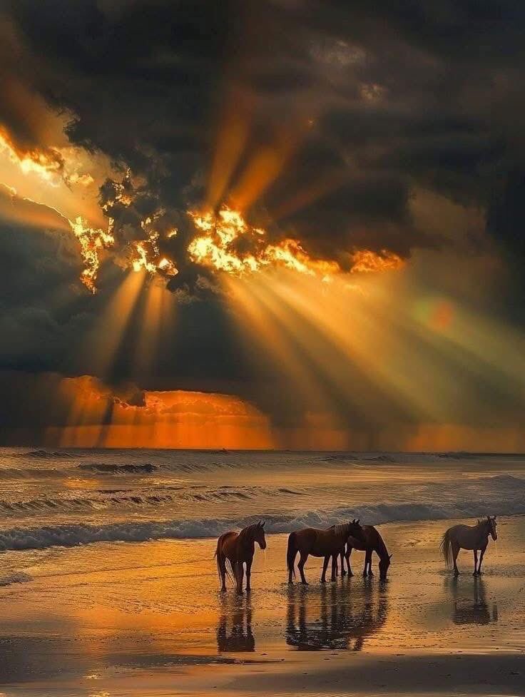 Good morning everybody - just another glorious day here on planet Earth.