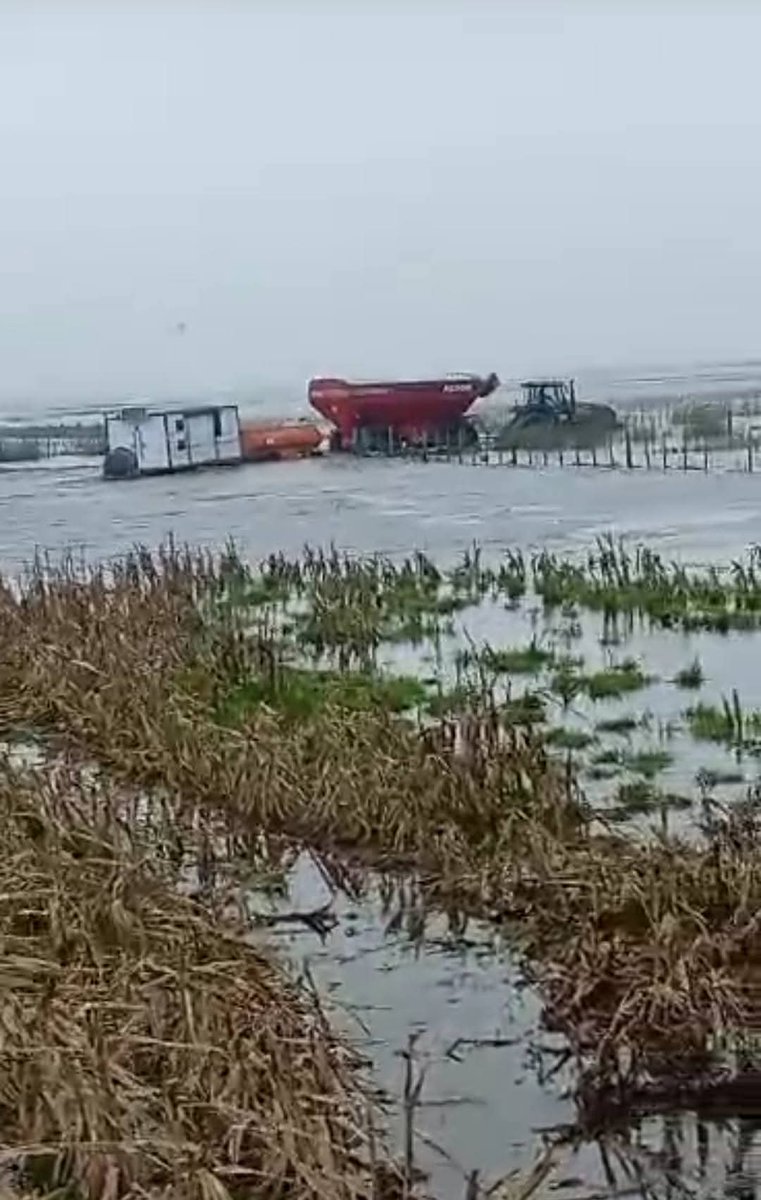 Así estamos terminando la cosecha en 9 de Julio.
Sin la homologación de la emergencia, para al menos contar con una prórroga fiscal. Y con retenciones, eso sí.
Cadena de pagos cortada, propietarios que no van a tener renovación de alquileres, productores achicando al máximo.
Y