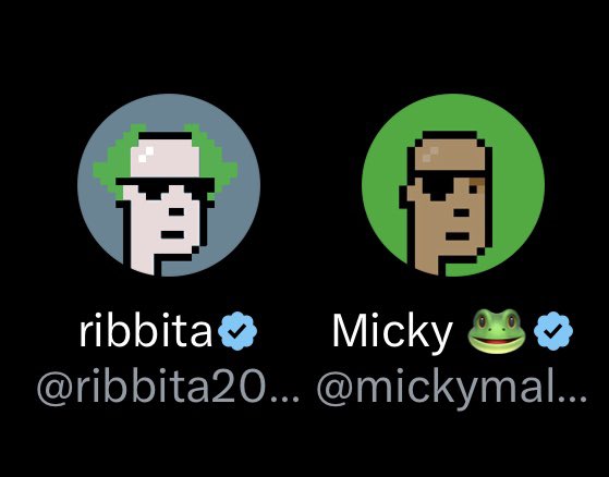 Profile pictures of ribbita2012 and Micky Malka with frog emoji