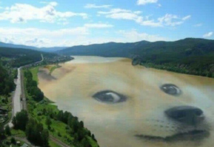 햠부기 tweet media