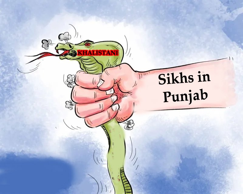 Dilreet kaur tweet media