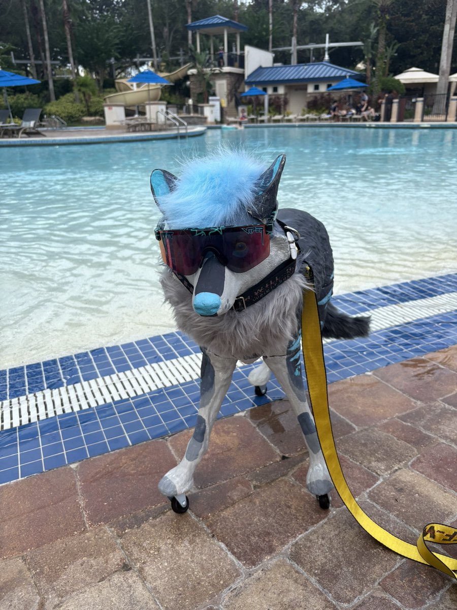 Pool time!
#megaplex2025