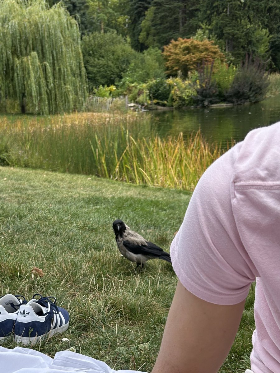 peacearhpn's tweet image. happie happie #peacearhpn 🦋💐🌸✨