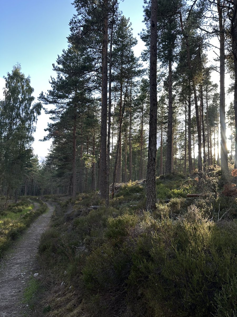 FarrowAlex's tweet image. 