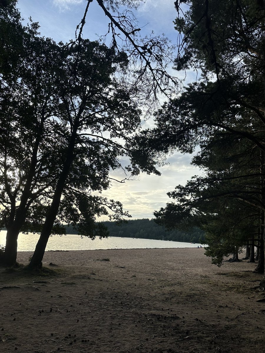 FarrowAlex's tweet image. 