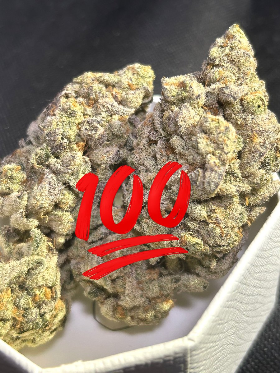 Nardo。 tweet media