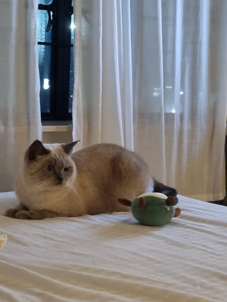 Kabado na siya alam na darating na sina ate magmamasage #PennyDuwag 😹