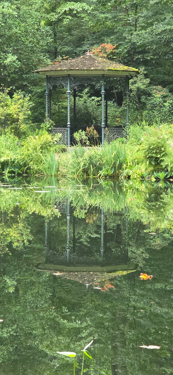 😊🌹♻️🌿🌱☘️🌿Love the greens!!

#GREEN