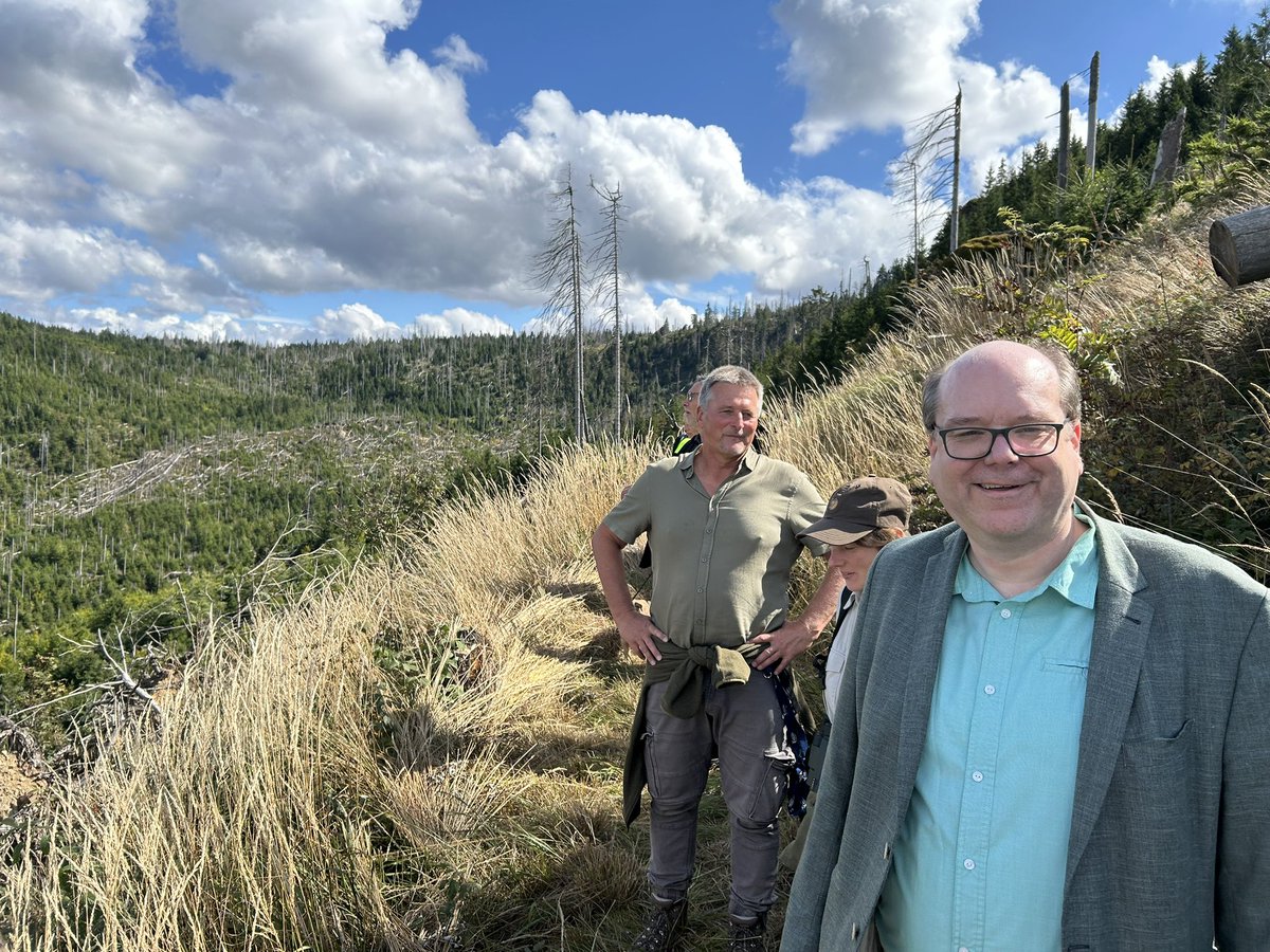 GruenMeyer's tweet image. Frei. Nach 8 Jahren hat die Nationalparkverwaltung #Harz den über 100 Jahre alten Magdeburger Weg zwischen Torfhaus und Altenau wieder eröffnet. Herrlich. #Natur #Klima #Nationalpark