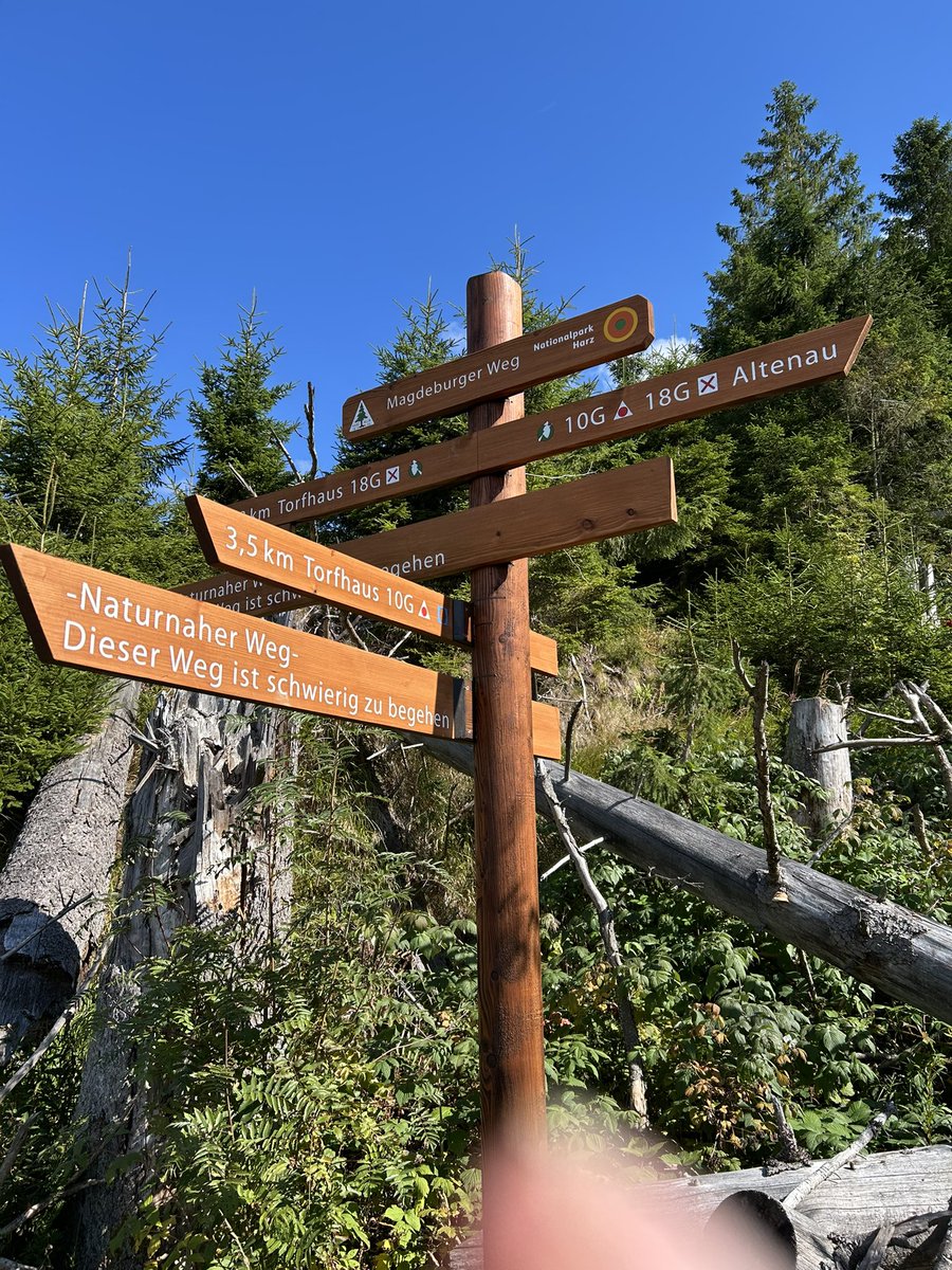 GruenMeyer's tweet image. Frei. Nach 8 Jahren hat die Nationalparkverwaltung #Harz den über 100 Jahre alten Magdeburger Weg zwischen Torfhaus und Altenau wieder eröffnet. Herrlich. #Natur #Klima #Nationalpark
