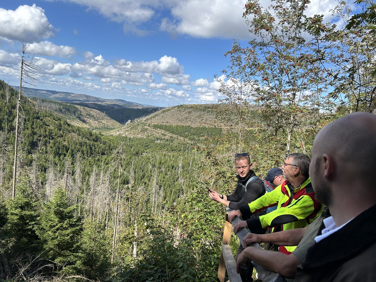 GruenMeyer's tweet image. Frei. Nach 8 Jahren hat die Nationalparkverwaltung #Harz den über 100 Jahre alten Magdeburger Weg zwischen Torfhaus und Altenau wieder eröffnet. Herrlich. #Natur #Klima #Nationalpark