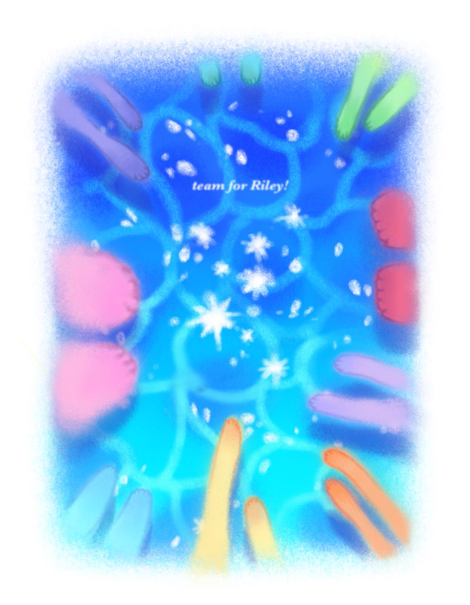 🐬🪼✨