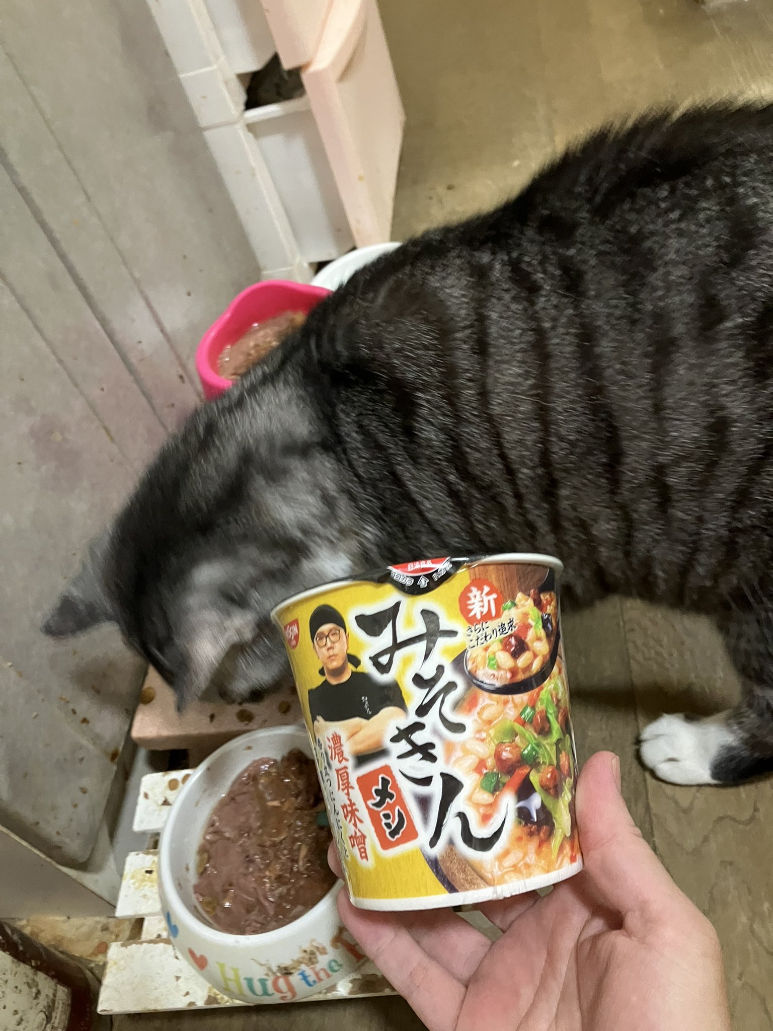 にゃんじろう (@nyanjirou28) / X